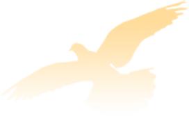 金杜律师所深圳分所,深圳金杜律师事务所薪酬