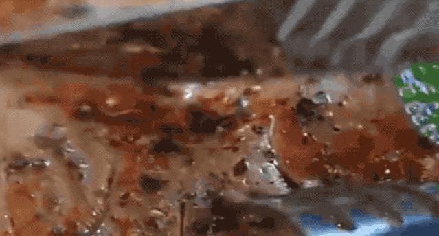 英国皇家专用餐具,英国贵族餐具