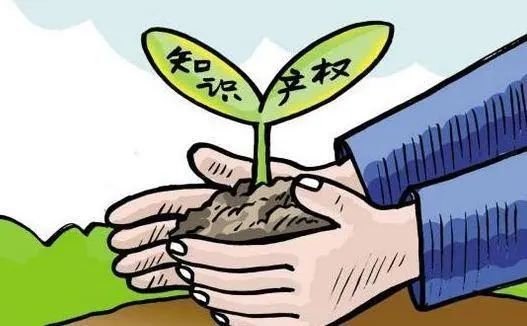 法律知识你要知道,带你了解法律常识