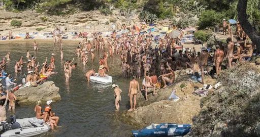 「趣闻」天堂隔离点！这个法国小岛零新冠，而且它还有个特点