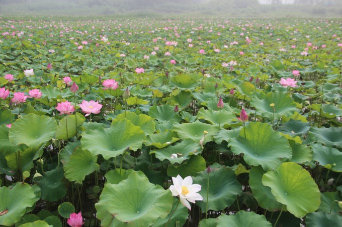琅琊风景,大好山河风景航拍