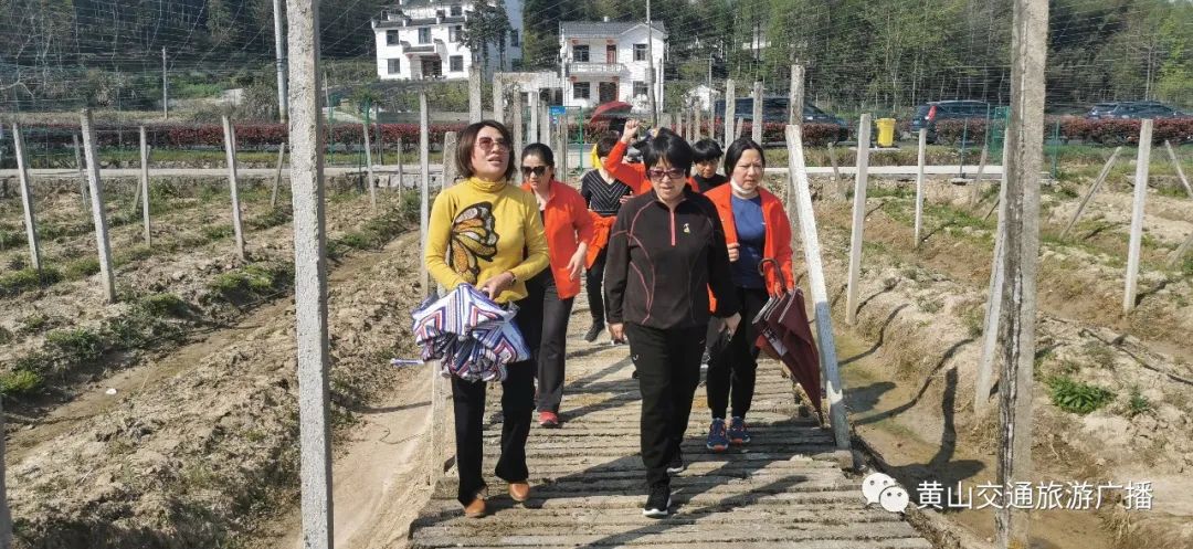 黄山|巾帼带货，市妇联主席喻雪琴、市女企协会长金秋辉联袂“代言”，邀您一起“逛吃逛吃”！