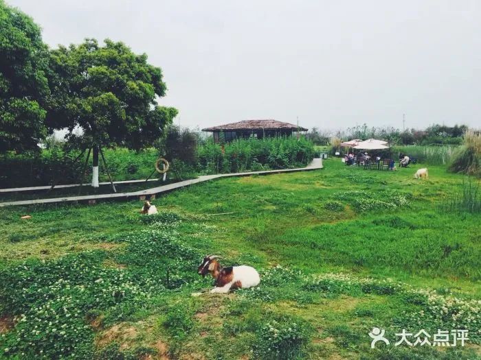 成都一日游打卡必备,成都网红打卡景点一日游