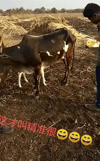 和异性朋友发生的搞笑事,和异性发生的搞笑事件别胡说