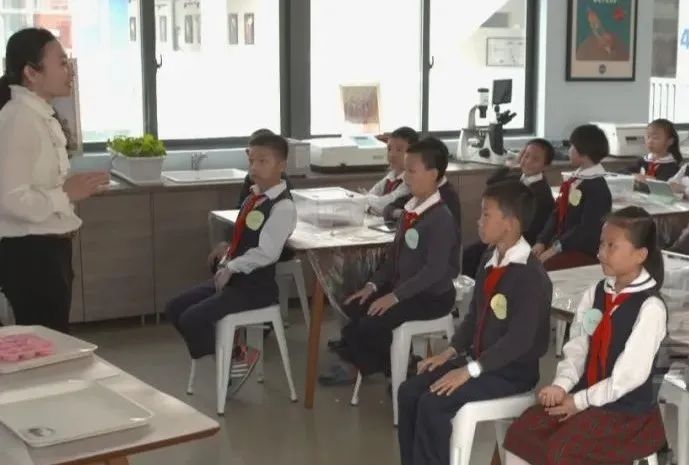 深圳拜仁足球学校,科高拜仁