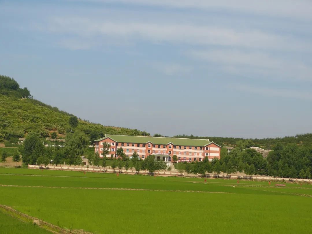 在朝鲜生活是一种什么感觉,在朝鲜生活是什么样的体验