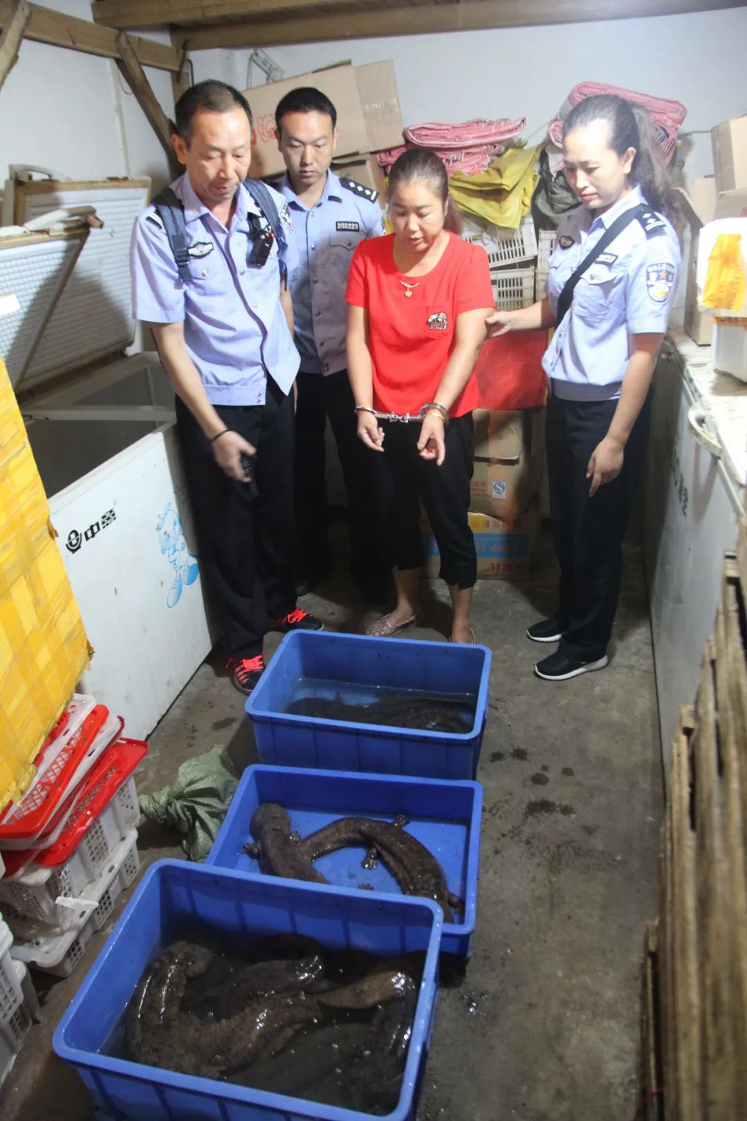警方破获1起非法经营野生动物案,打击非法经营野生动物案
