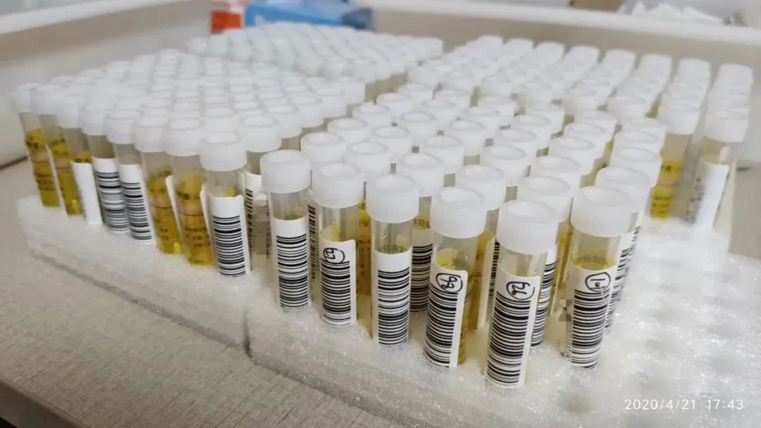 郑州哪个医院可以24小时做核酸,郑州港区24小时核酸检测的医院