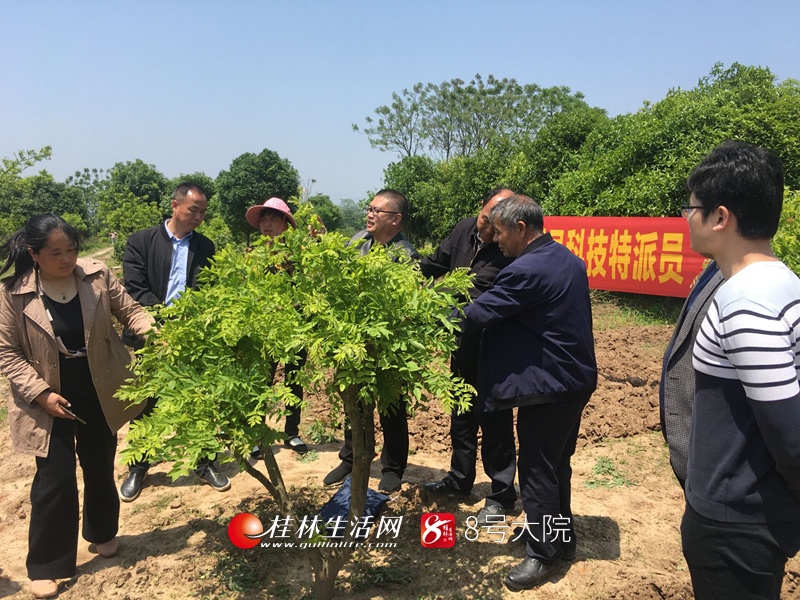 扶贫送政策送技术活动,颍泉区贫困户送技术活动