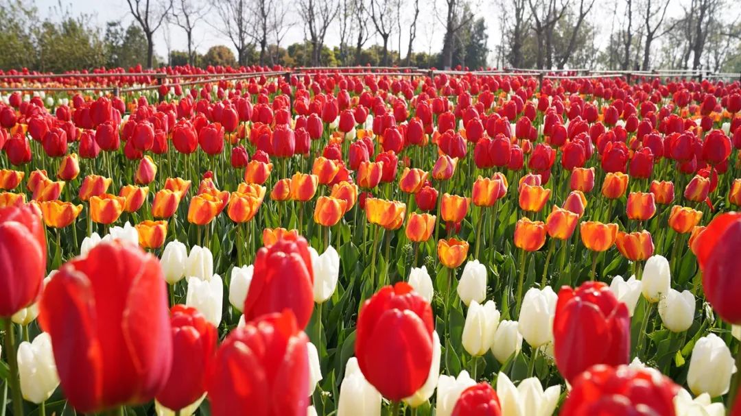 五一去哪里玩国家a级景区,五一热门景区和冷门景区