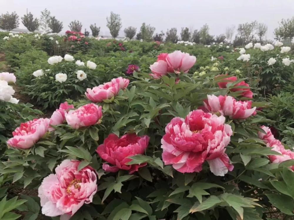 五一去哪里玩国家a级景区,五一热门景区和冷门景区