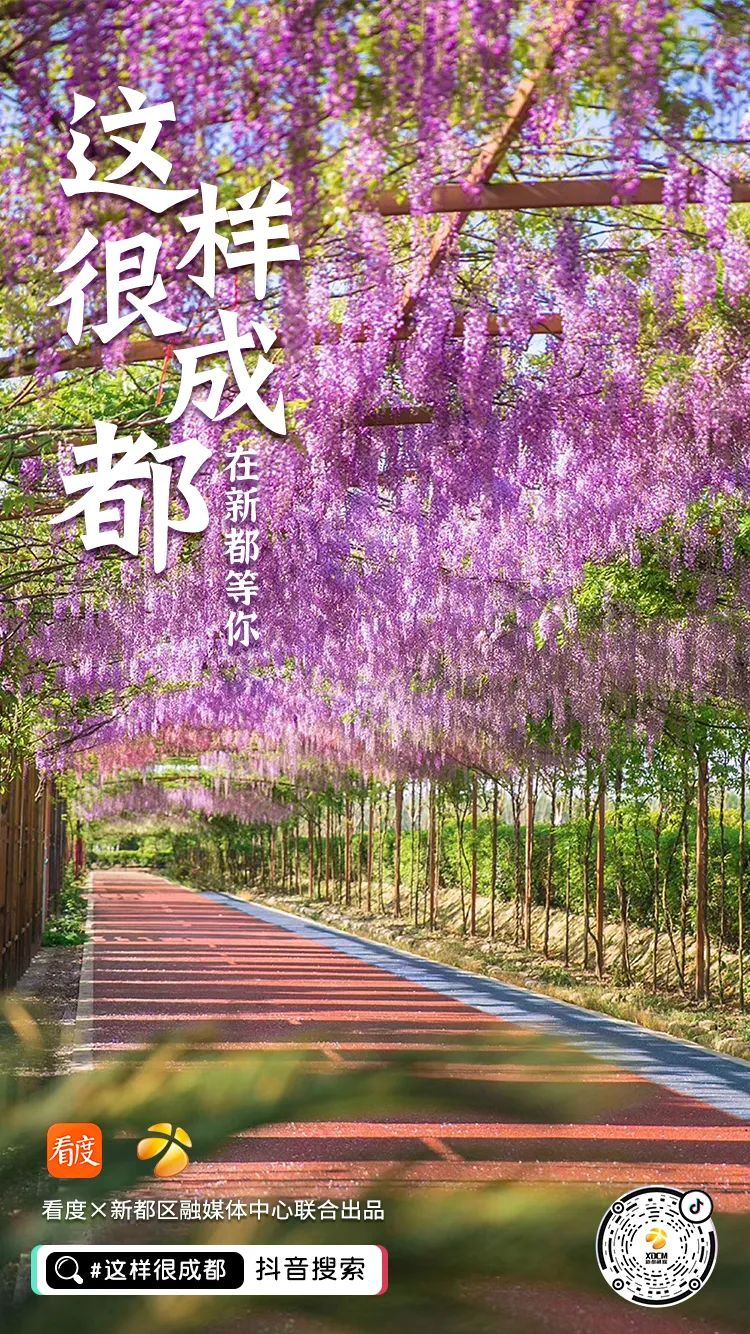 寻找成都100个打卡的地方,成都小众打卡地方推荐