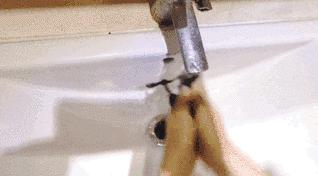 扔掉没用的捂脸布!360°“V”脸的它才是王道