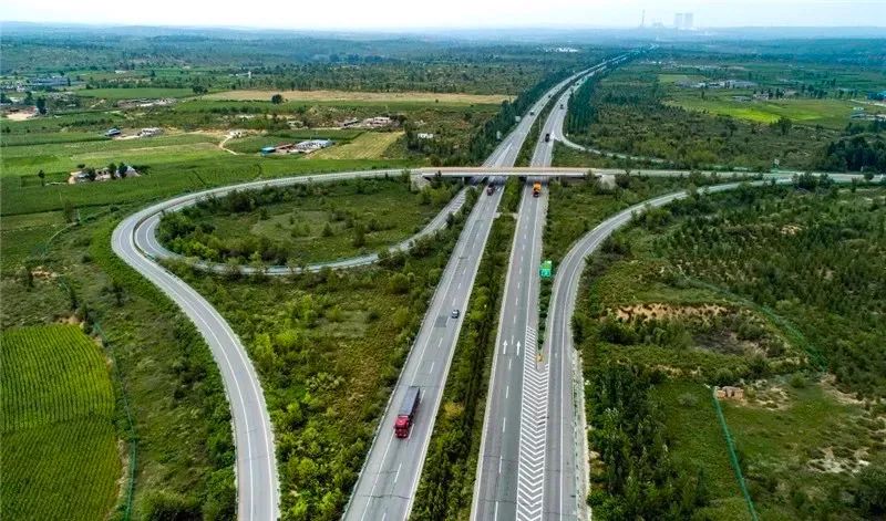 干掉千年沙漠,千年沙漠种树有多厉害