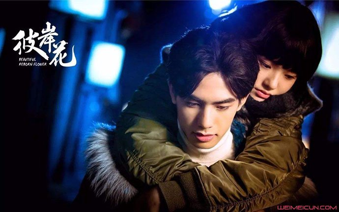 彼岸花乔曼和林和平在一起了吗,彼岸花林和平知道乔曼要结婚