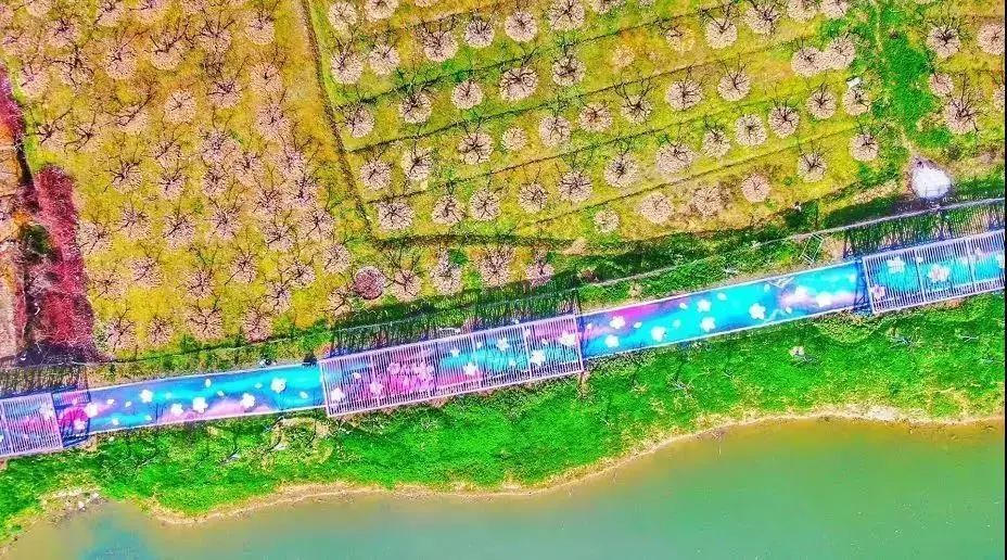 健身走起元气满满,健身走起跟着节奏嗨起来