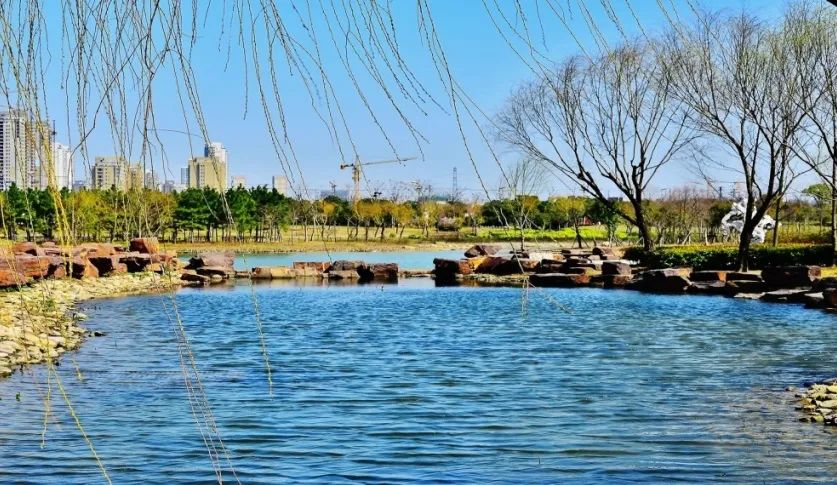 健身步道最新视频,健身走起跟着节奏嗨起来