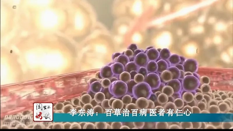 闫虹访谈2017,闫虹采访张东武