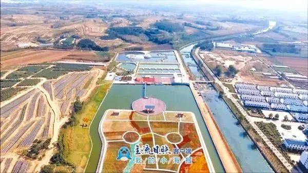 樱桃熟了五一好去处,采摘樱桃好去处五莲