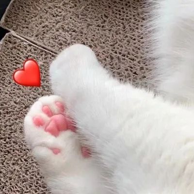 昆明五月份的特产有啥,五一昆明哪些景区不收费