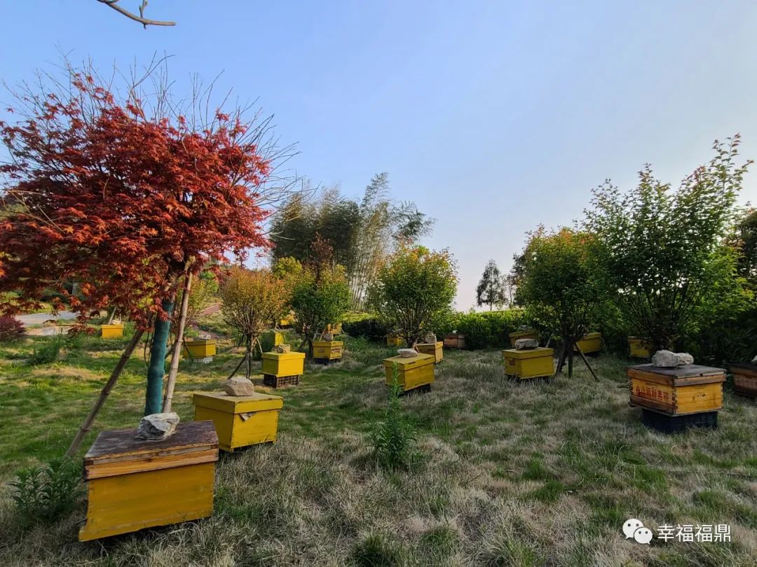 缓坡叠石,叠石景观石