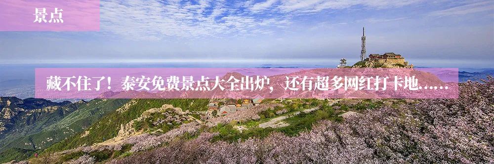 扫黑除恶“三句半”“小美“表演获点赞