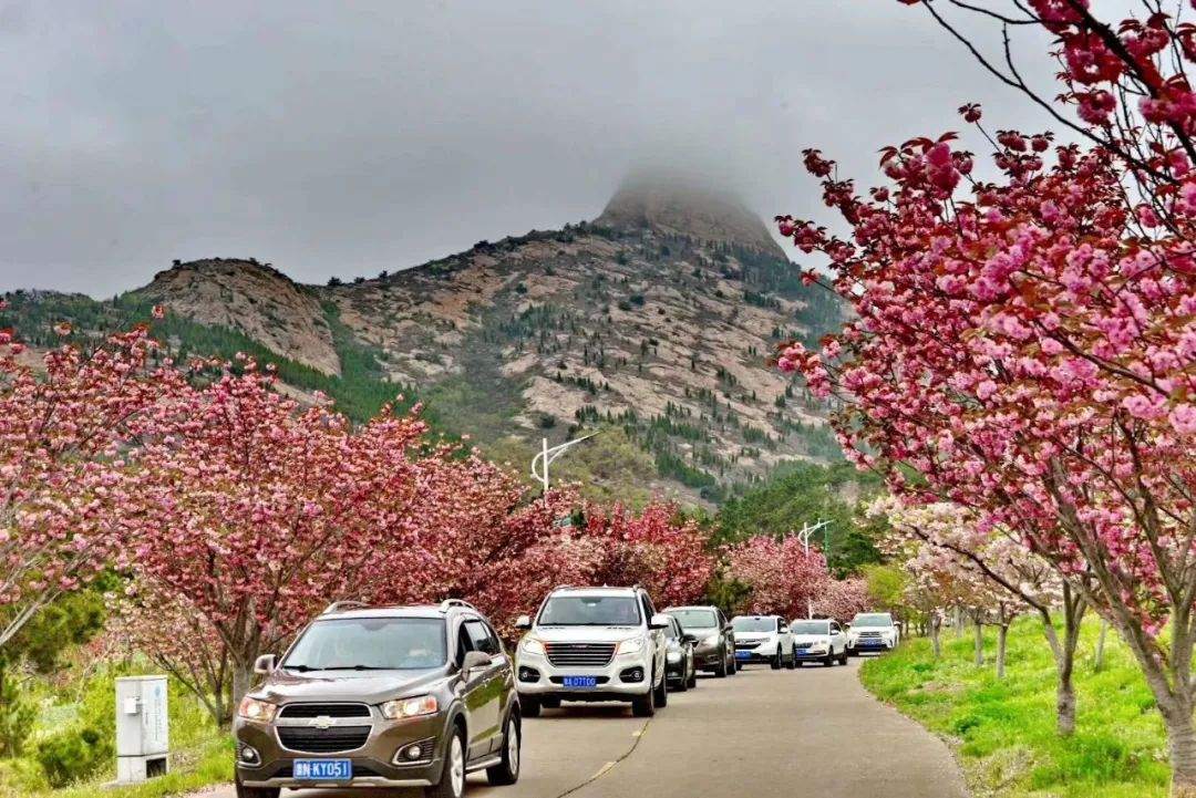 乳山景区免费开放名单,大乳山度假区