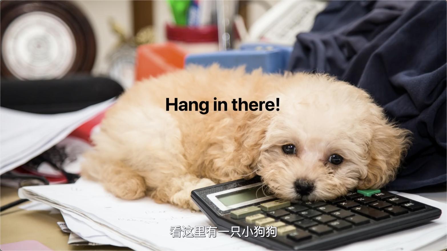 来自小贱贱的绝佳省钱广告，PPT工厂从此站起来了