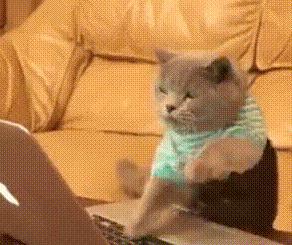 网上搜索到的性知识，有多令人窒息？