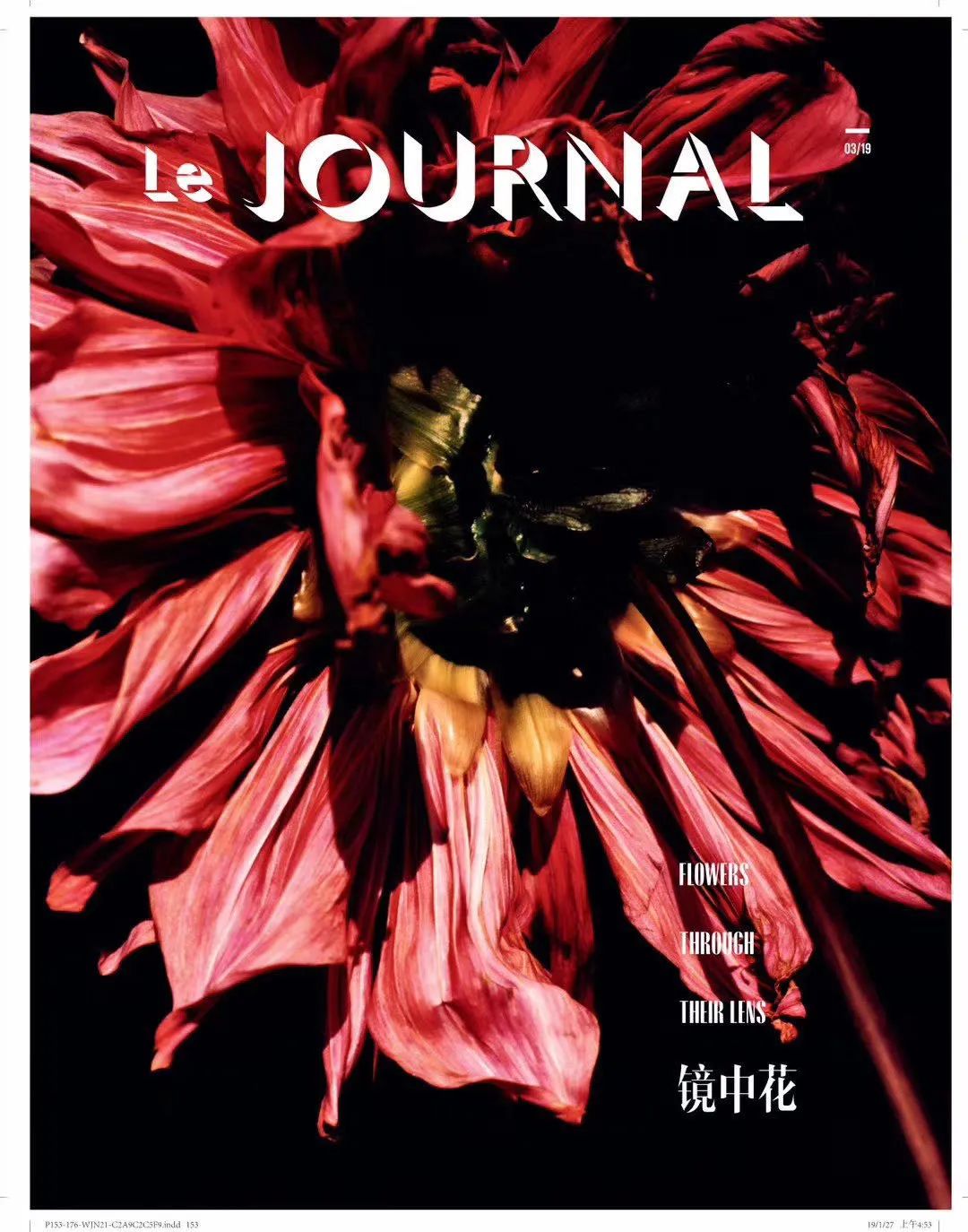 十年后回看选择的人生，你猜我后悔了吗