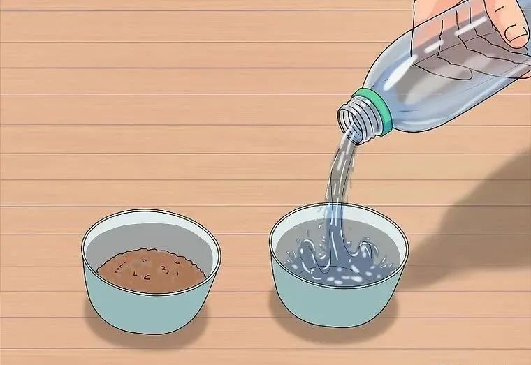 心疼……鸡尾鹦鹉拉稀了，怎么办？