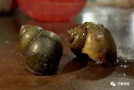 很多食物都有寄生虫,哪些食物也携带大量寄生虫