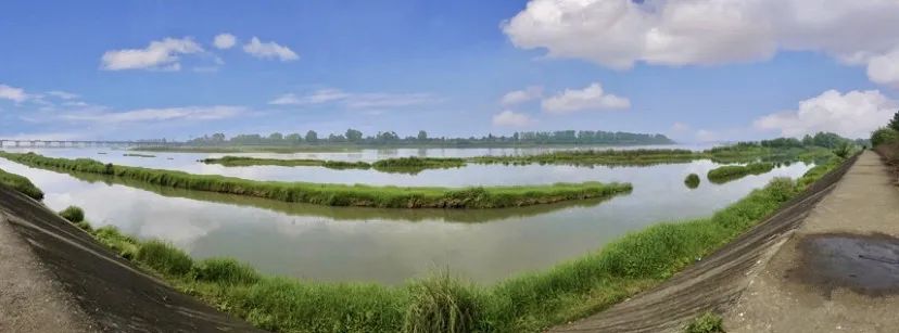 新津这边晚上有没有好耍的地方,新津有哪些人少且免费的旅游景区