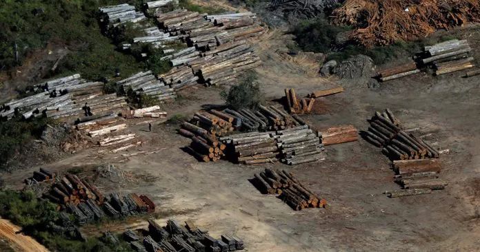 三个月砍掉20个曼哈顿,一年砍掉一个国家,亚马逊已经到了最危急的时候