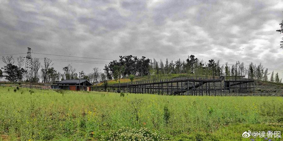 成都五个打卡地,成都5月打卡