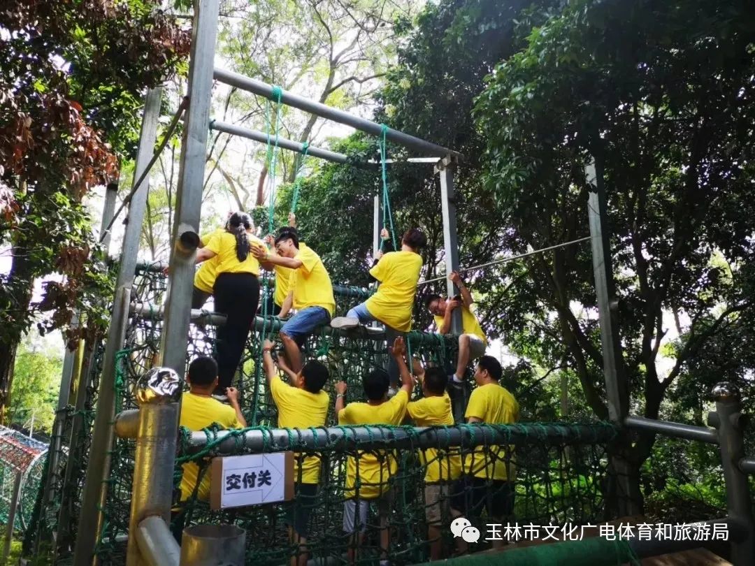 分享|“云游”林间小屋、石砌村道、稻田果树！乡村康养的好去处