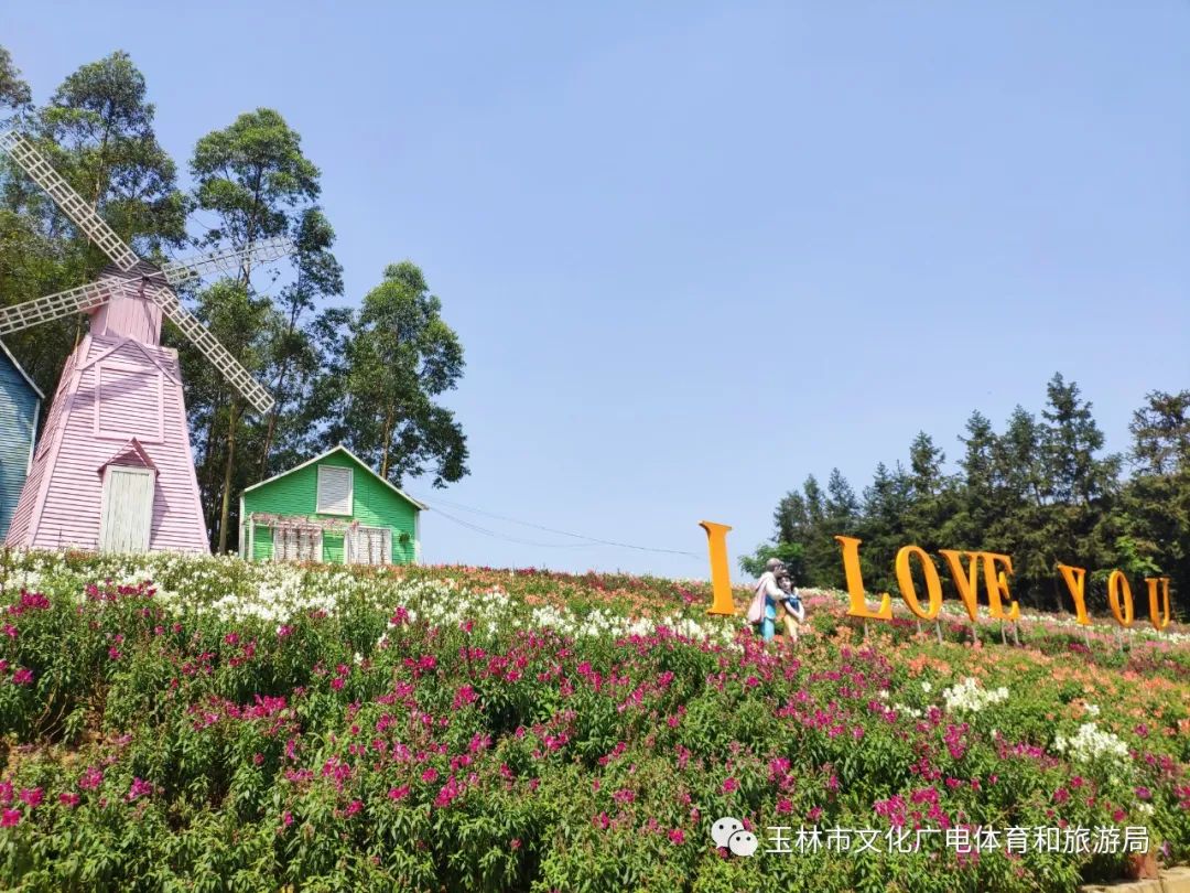 分享|“云游”林间小屋、石砌村道、稻田果树！乡村康养的好去处