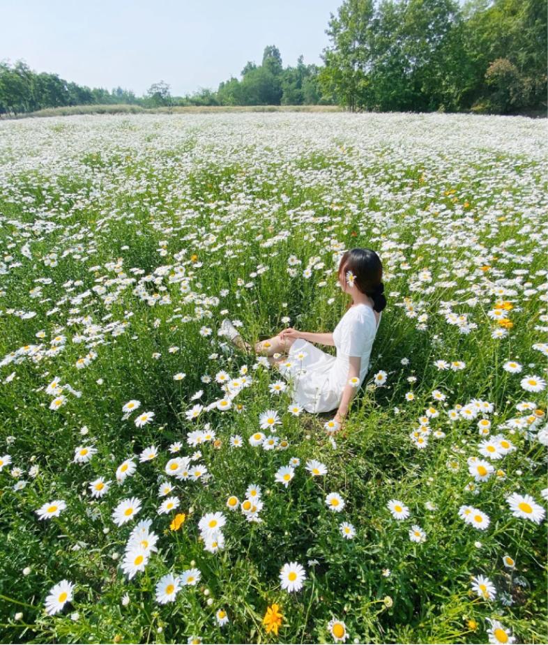 成都五个打卡地,成都5月打卡