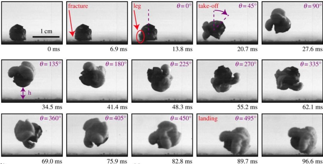 一粒爆米花的诞生,一粒爆米花的视频