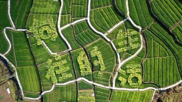 向往的生活带你体验乡间的路,向往的生活田园生活