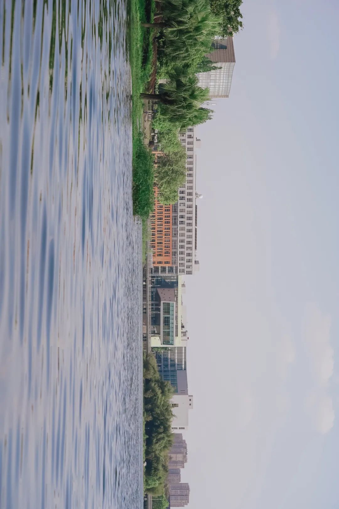 川大江安全景,川大江安校区地图高清