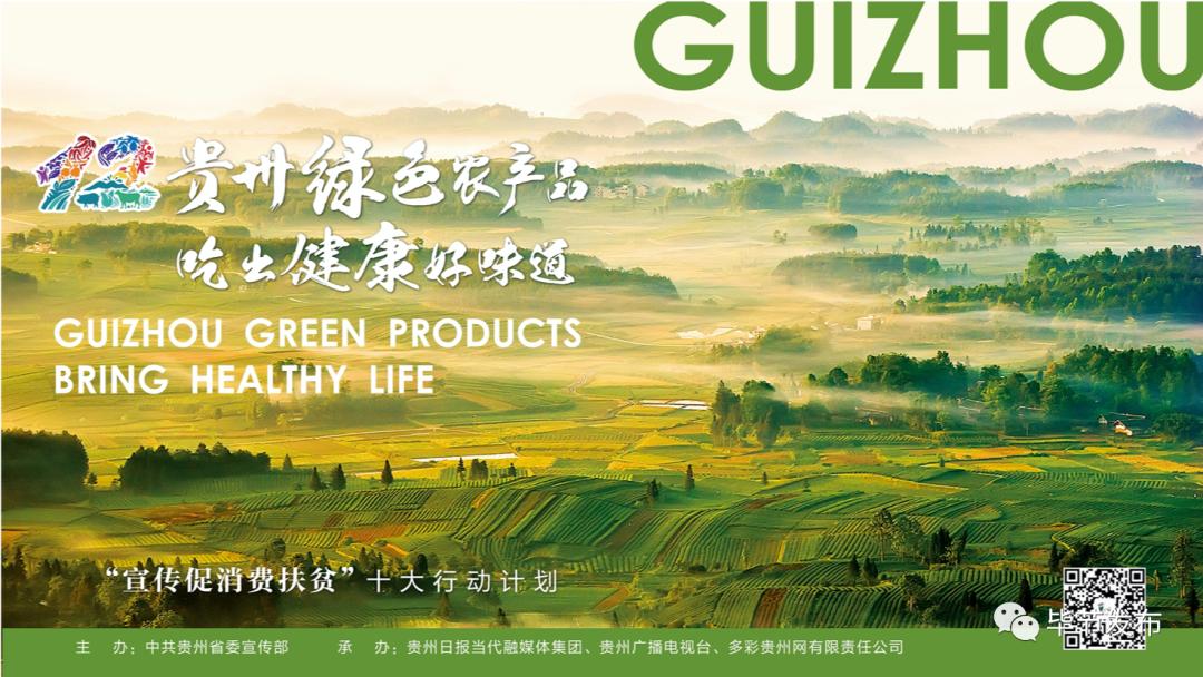 扶贫走出大山视频,脱贫致富大步向前走