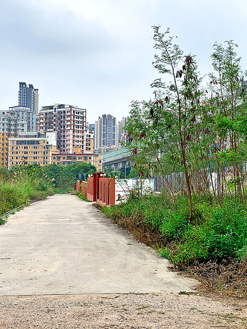 中洲控股黄金台进度进展,中洲控股黄金台现状