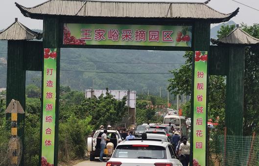 省内文旅复兴，打了个漂亮的翻身仗！周边游“解锁”，农家乐小院迎客来