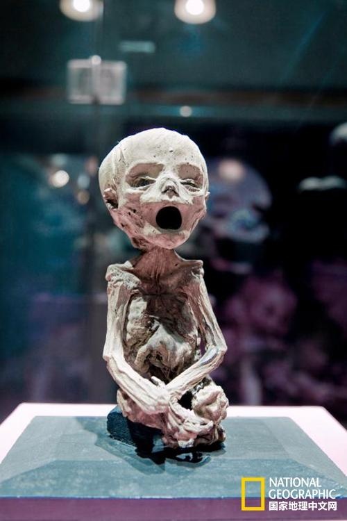 探秘超神奇的博物馆 (十大奇趣博物馆)