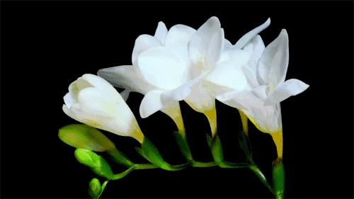 佛经中看透人生的句子,佛经揭露的人生智慧