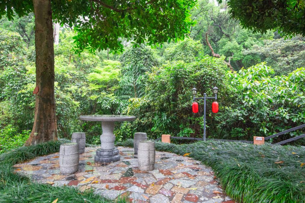 肇庆鼎湖山周边便宜的酒店,肇庆鼎湖山景区住宿