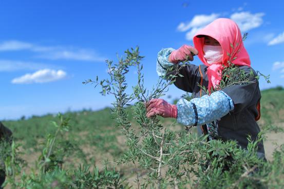 无限极精准人脉,无限极创业合作共赢