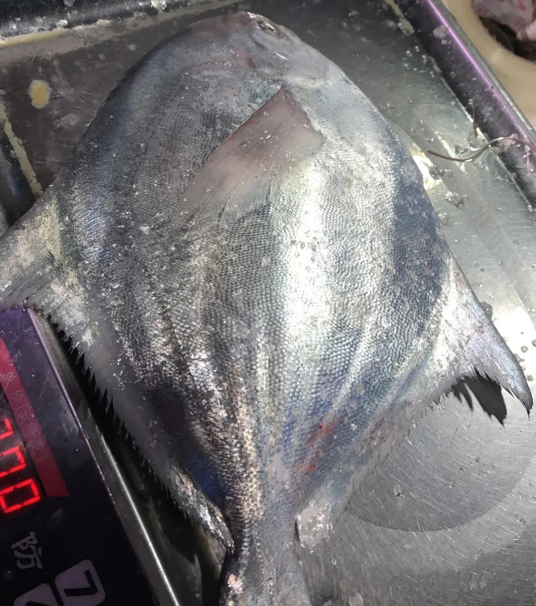 “浙C”注册不下来，愁坏温州老板娘！老乡老乡，真的是背后一枪？