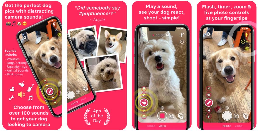 procam鐩告満app,protakeapp鍏嶈垂